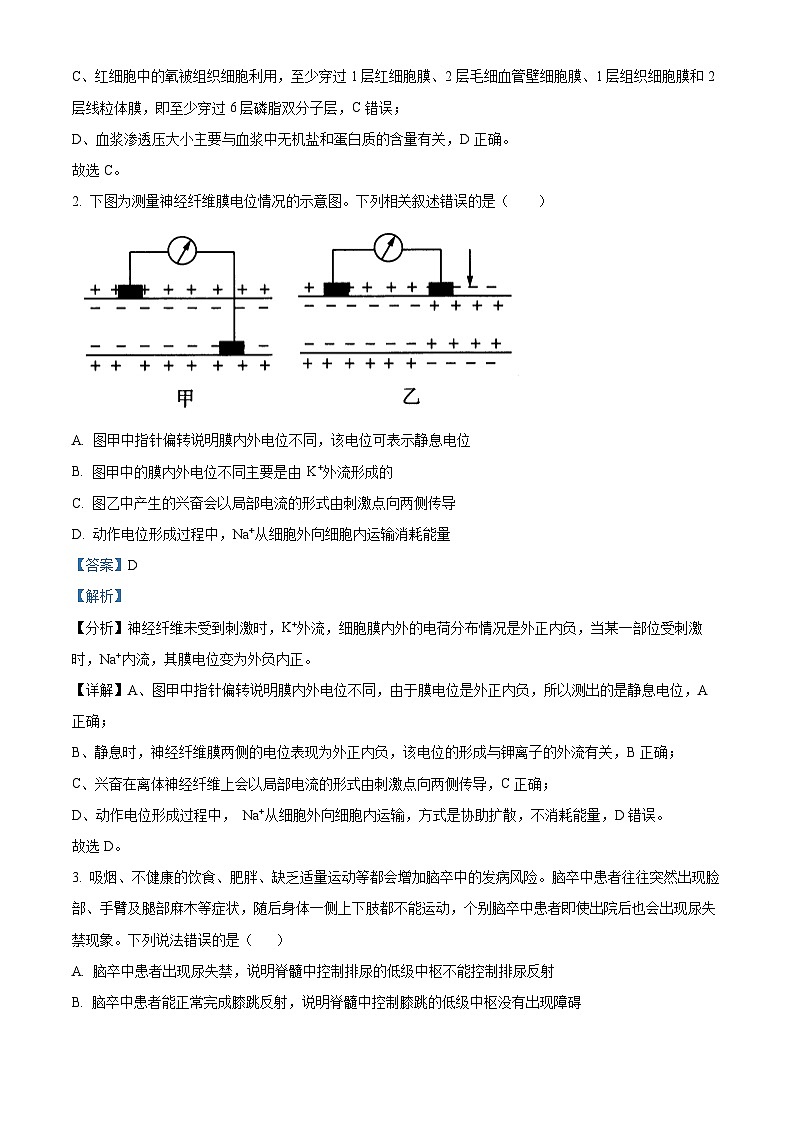 湖南省永州市第一中学2023-2024学年高二下学期开学考试生物试卷（Word版附解析）02