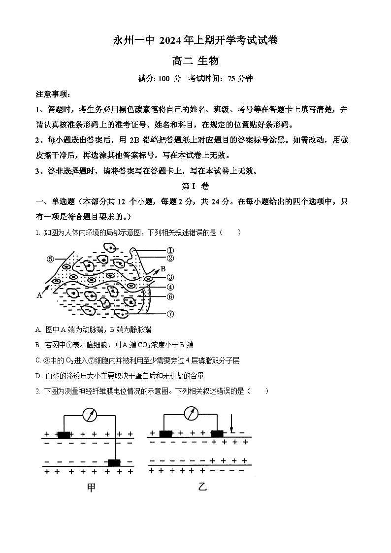 湖南省永州市第一中学2023-2024学年高二下学期开学考试生物试卷（Word版附解析）01