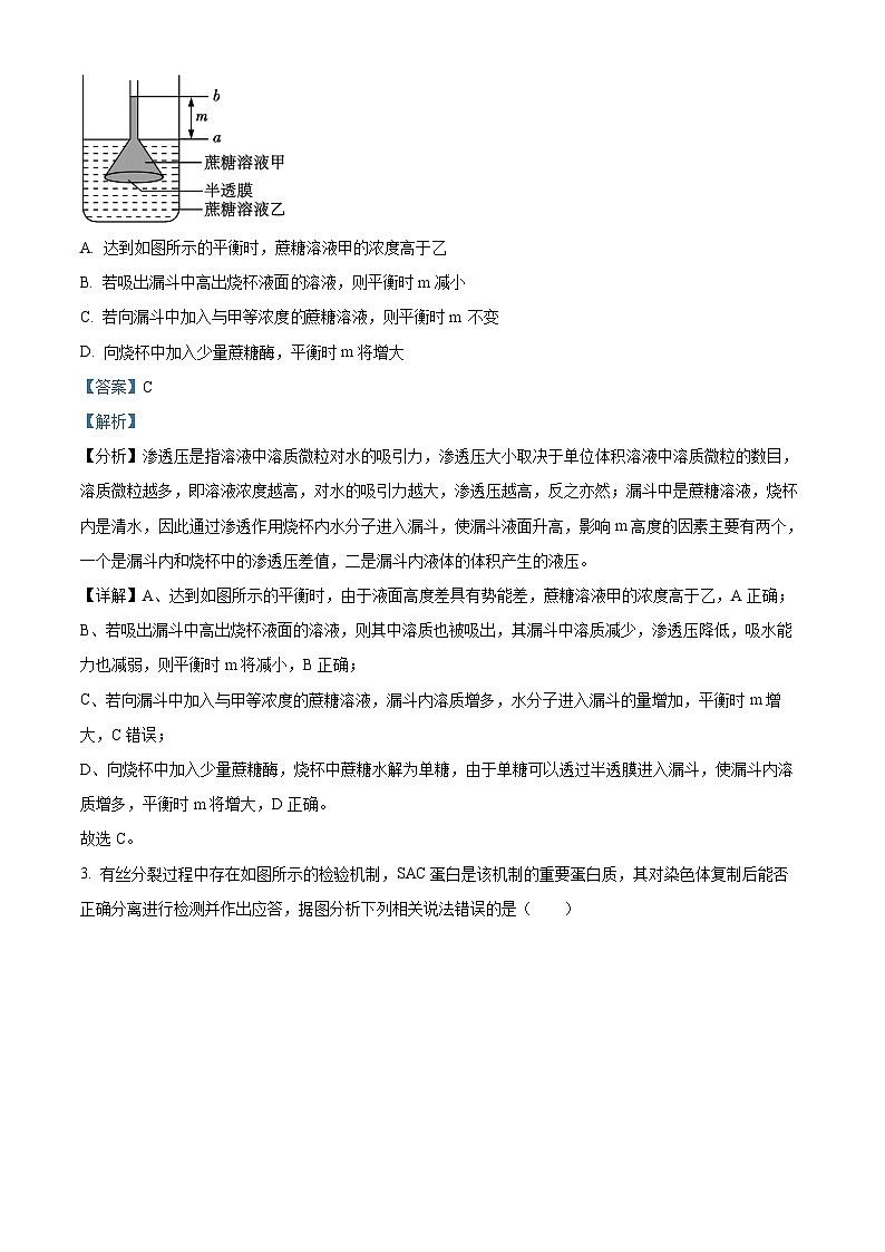 湖南省长沙市雅礼中学2023-2024学年高三下学期月考生物试卷（六）（Word版附解析）02