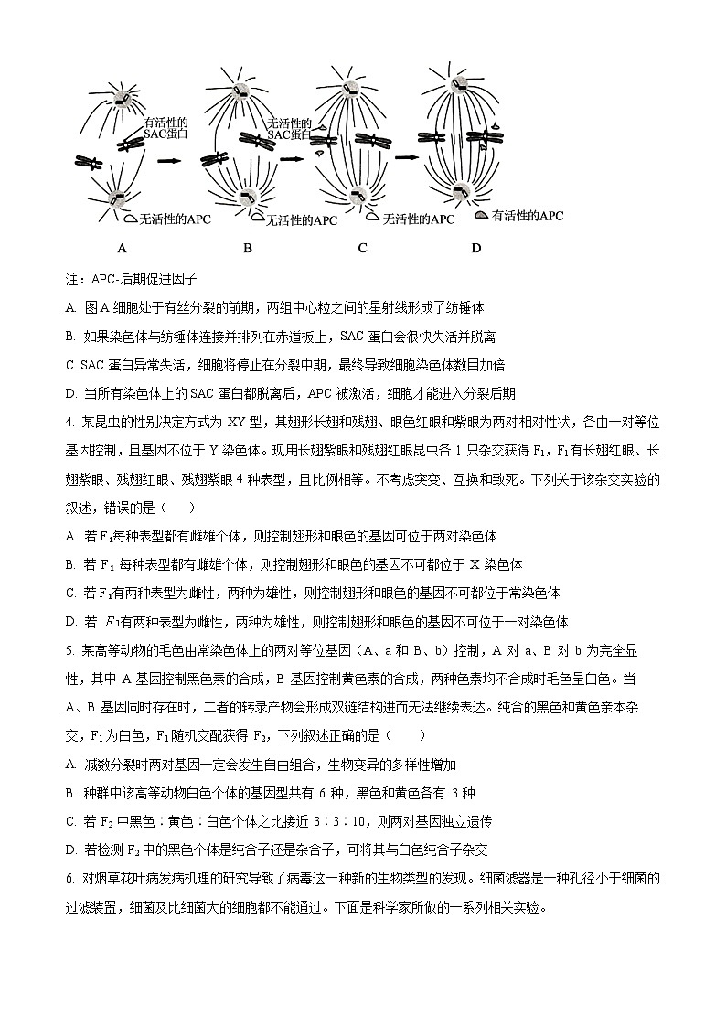 湖南省长沙市雅礼中学2023-2024学年高三下学期月考生物试卷（六）（Word版附解析）02