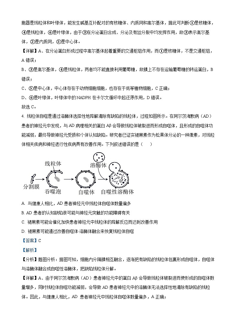 重庆市大足中学2023-2024学年高三下学期3月适应性考试生物试题 Word版含解析第3页