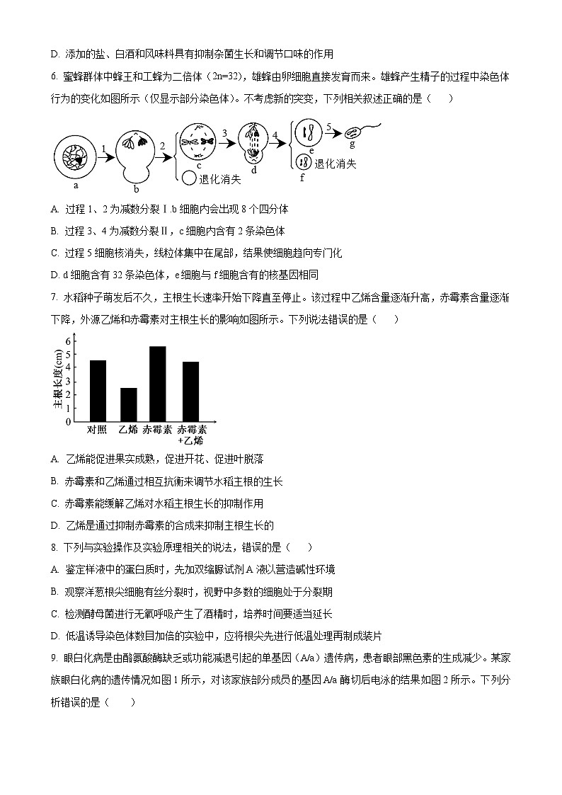重庆市璧山来凤中学等多校联考2023-2024学年高三下学期3月月考生物试卷（Word版附解析）03