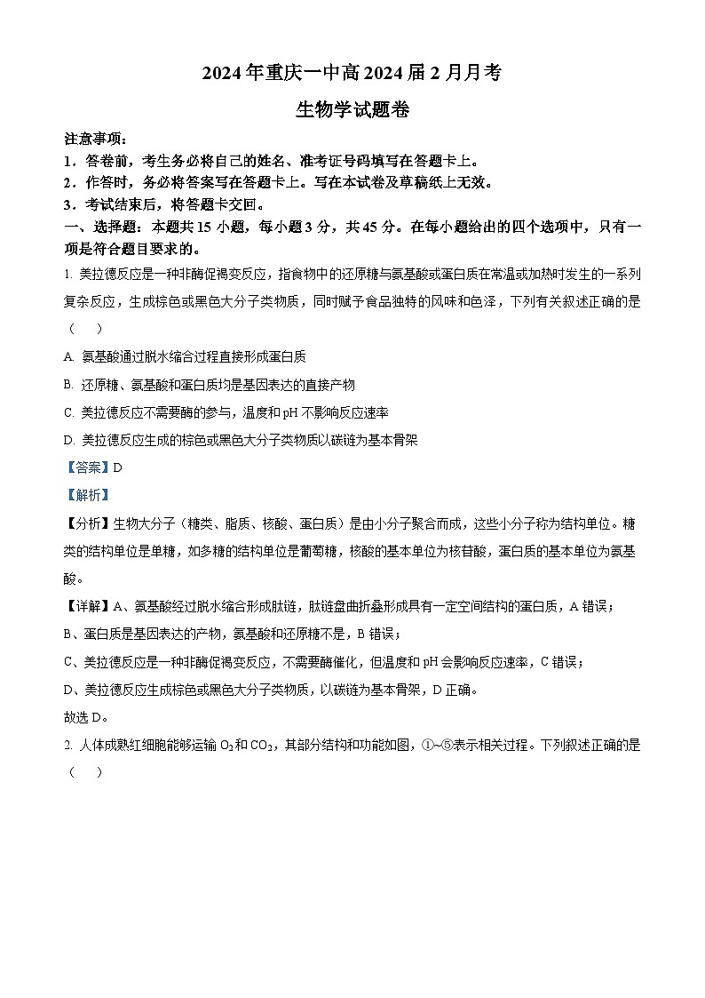 重庆市第一中学2023—2024学年高三下学期2月月考生物试题 Word版含解析第1页