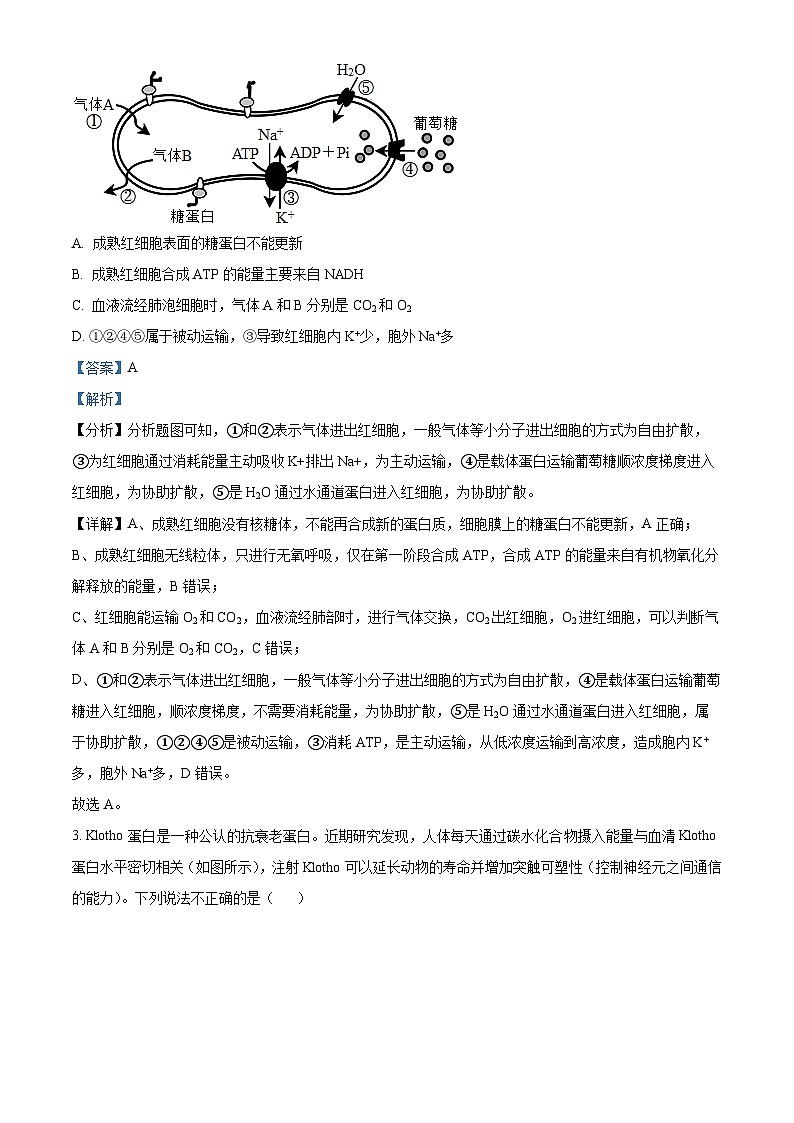 重庆市第一中学2023—2024学年高三下学期2月月考生物试题 Word版含解析第2页