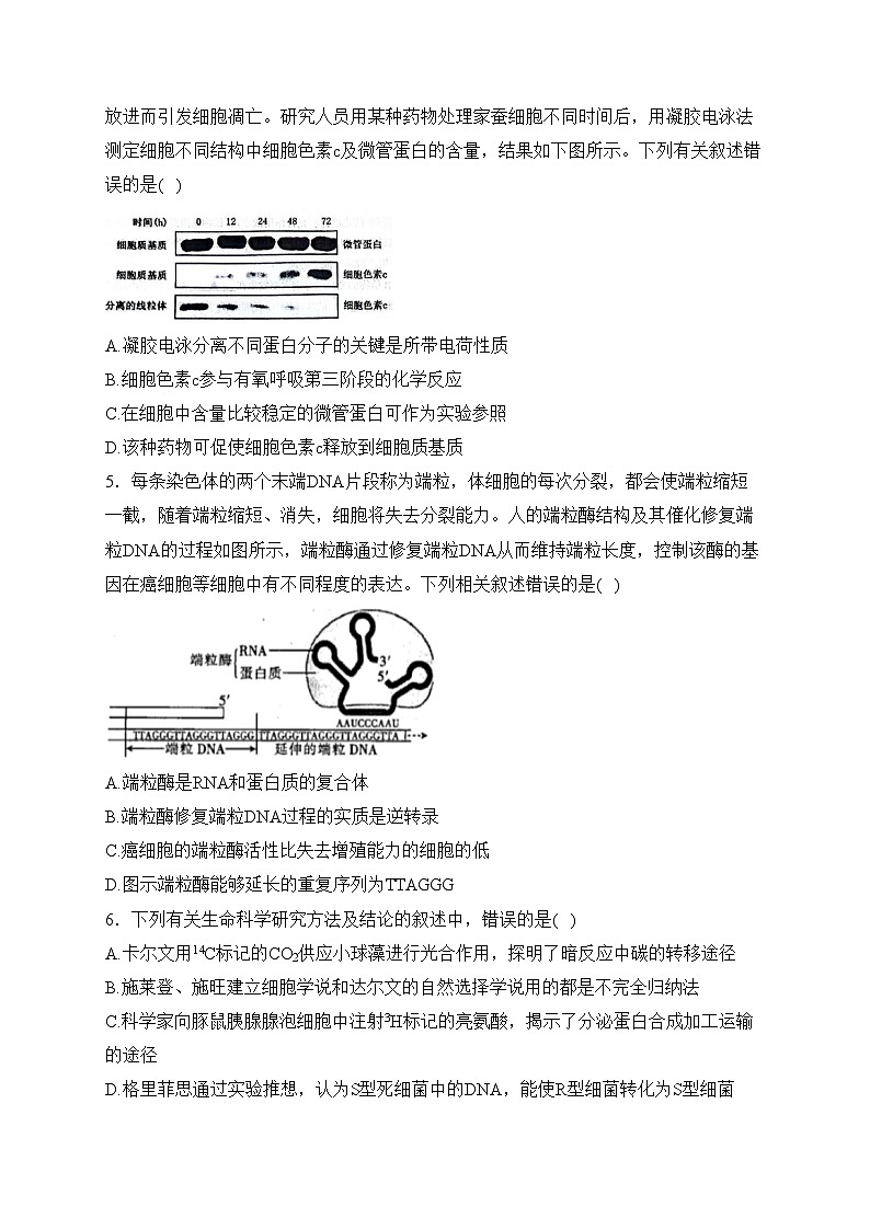 江苏省扬州市高邮市2024届高三下学期期初调研测试生物试卷(含答案)02