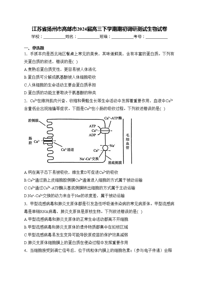 江苏省扬州市高邮市2024届高三下学期期初调研测试生物试卷(含答案)第1页