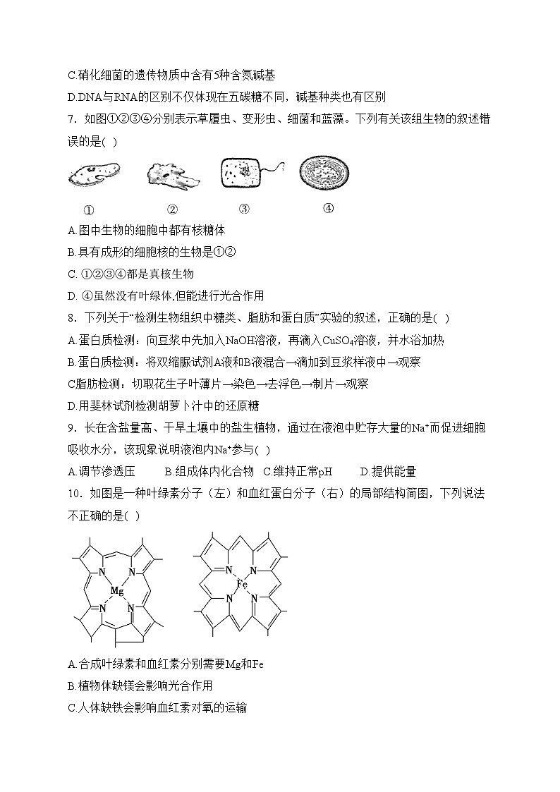 民勤县第一中学2023-2024学年高一下学期开学考试生物试卷(含答案)02