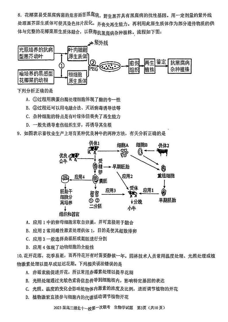 2023届高三湖北十一校第一次联考（鄂南高中、黄冈中学、黄石中学荆州中学、龙泉中学、武汉二中、孝感高中、襄阳四中、襄阳五中、宜昌一中、夷陵中学）生物试题及答案03
