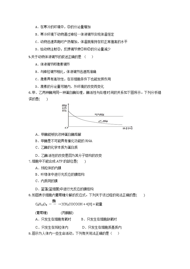 海南省文昌市文昌中学2023-2024学年高三上学期期末考试生物试题B卷第2页