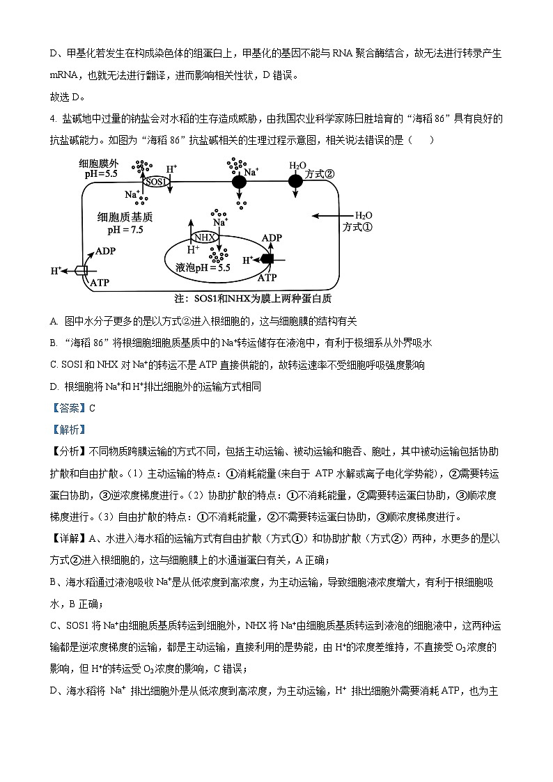 海南省省直辖县级行政单位琼海市琼海市嘉积中学2023-2024学年高三下学期开学生物试题含解析第3页