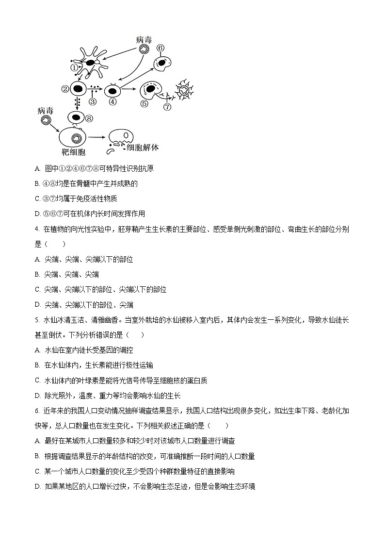 2024桂林高二下学期开学考试生物含解析02