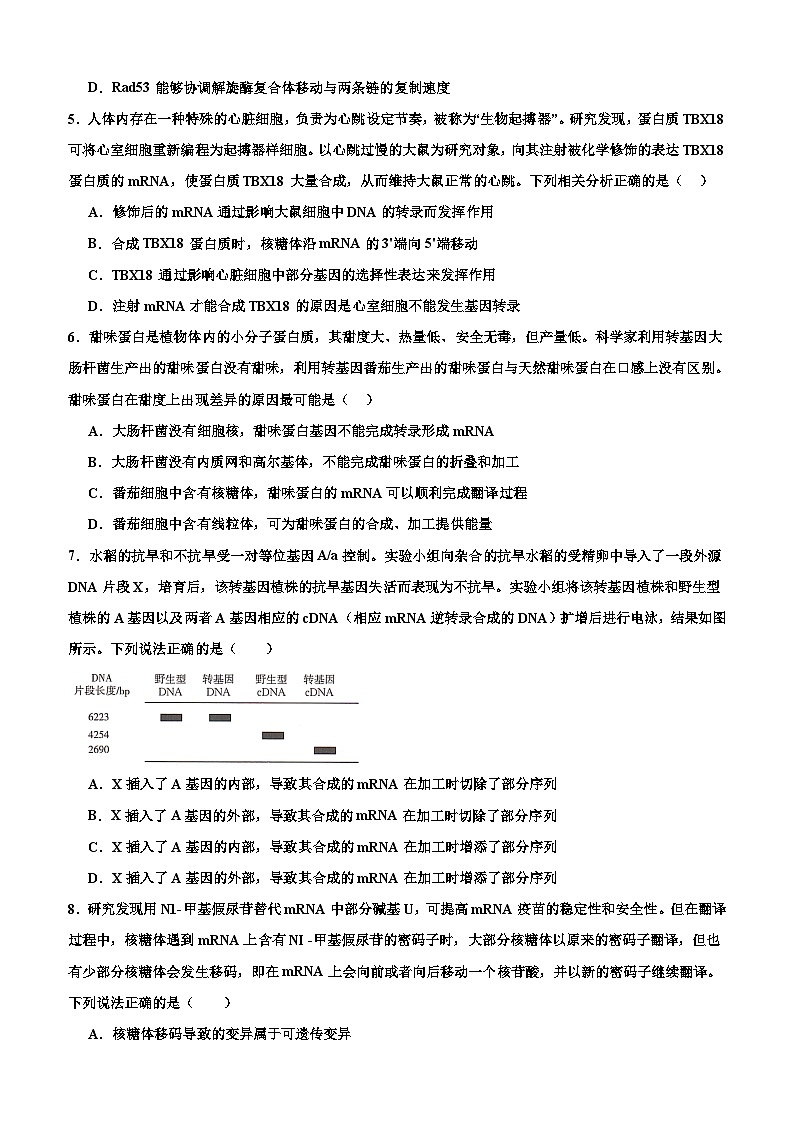 2024宜春丰城中学高二下学期开学考试生物含答案第2页