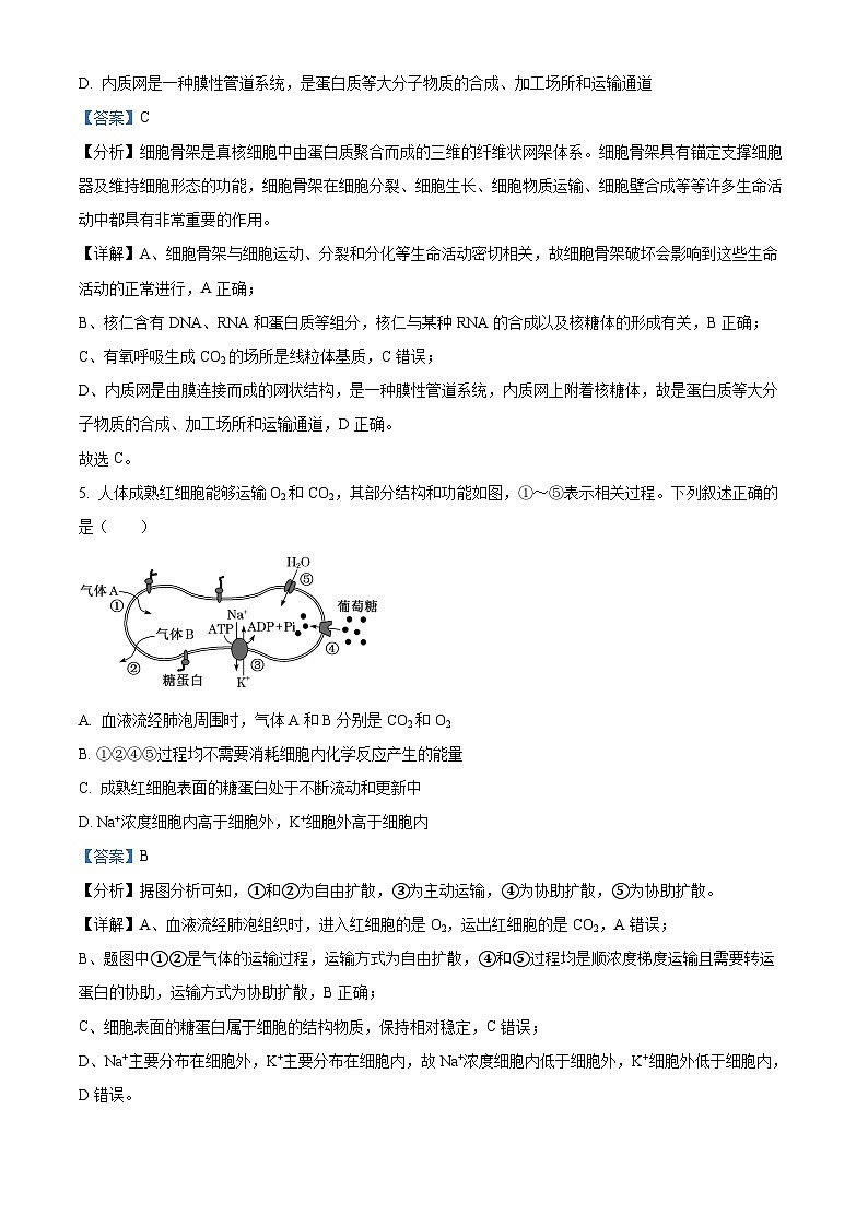 辽宁省大连市金州2023_2024高三生物上学期期中考试试题03
