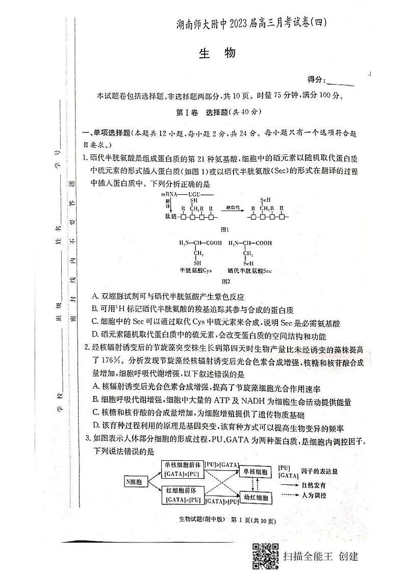 湖南师大附中2023届高三上学期月考试卷（四）生物试题及答案01