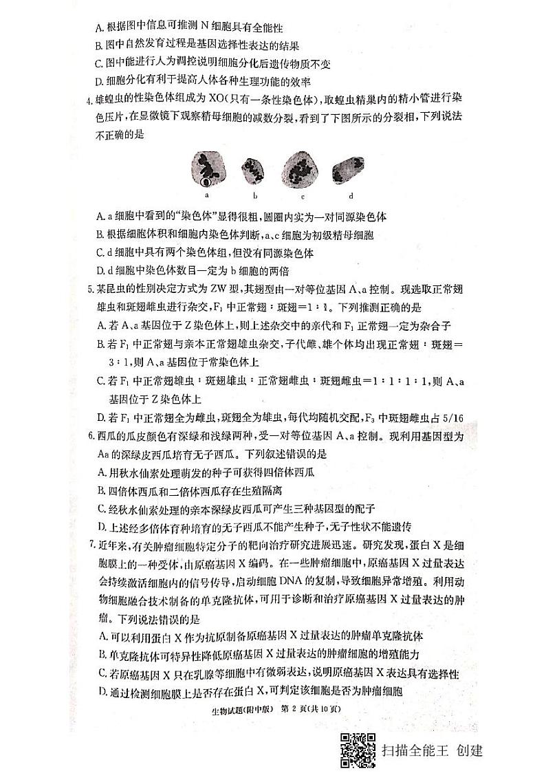 湖南师大附中2023届高三上学期月考试卷（四）生物试题及答案02