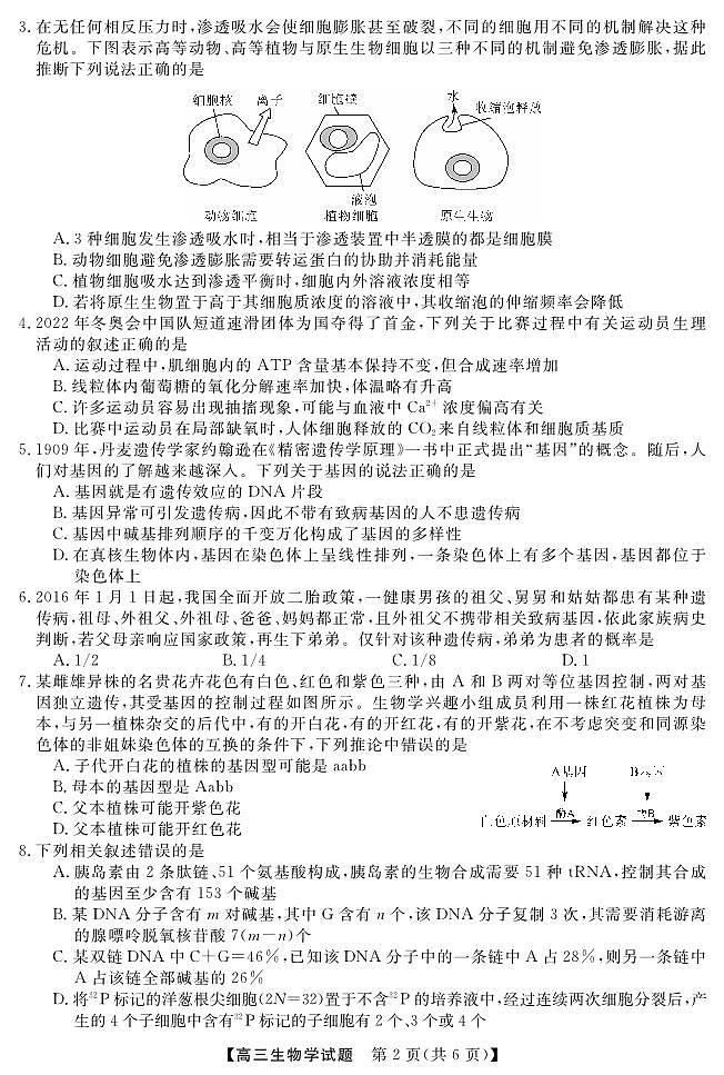 23262C-D联考-生物第2页