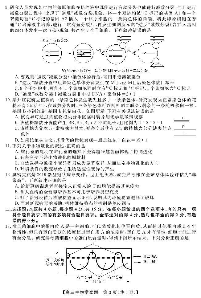 23262C-D联考-生物第3页