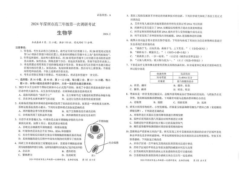 2024年深圳市高三年级第一次调研考试生物试卷及参考答案01