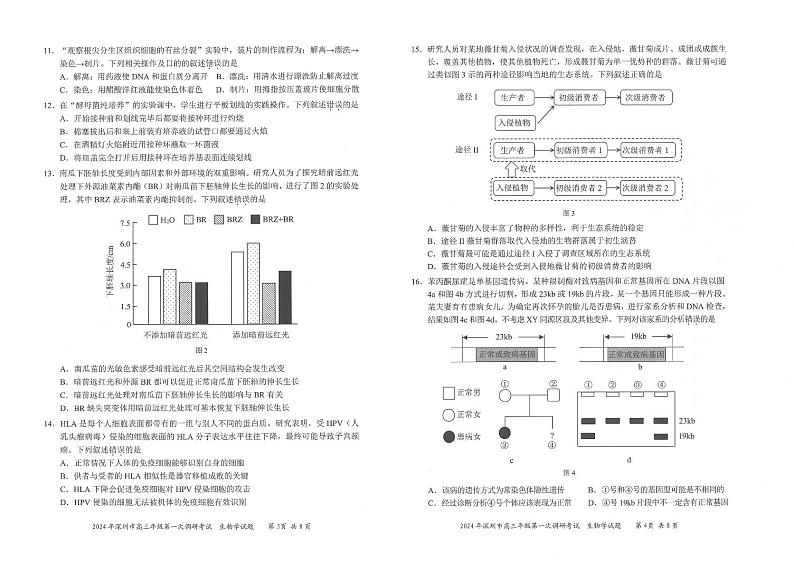 2024年深圳市高三年级第一次调研考试生物试卷及参考答案02
