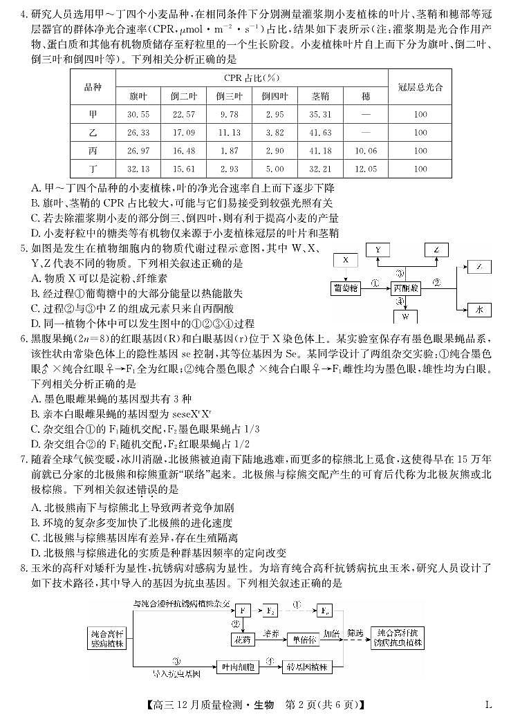 生物-12月质量检测卷（老教材）第2页