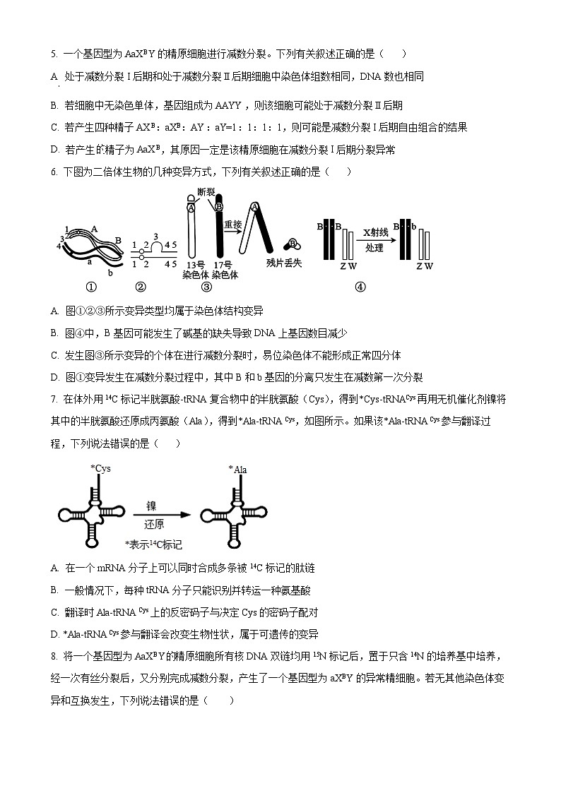 精品解析：江西省宜春市丰城市九中日新班2023-2024学年高一上学期期末生物试题（原卷版）第2页