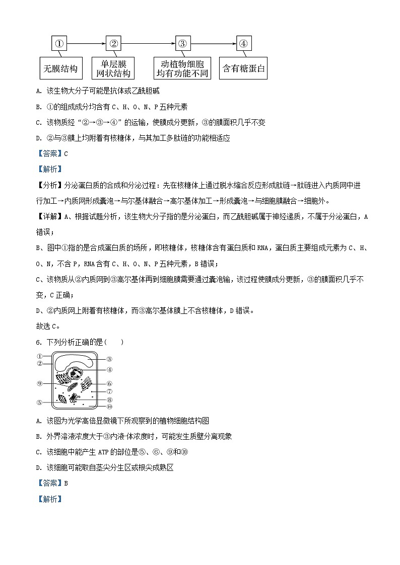 天津市武清区2023_2024学年高三生物上学期开学检测试题含解析03
