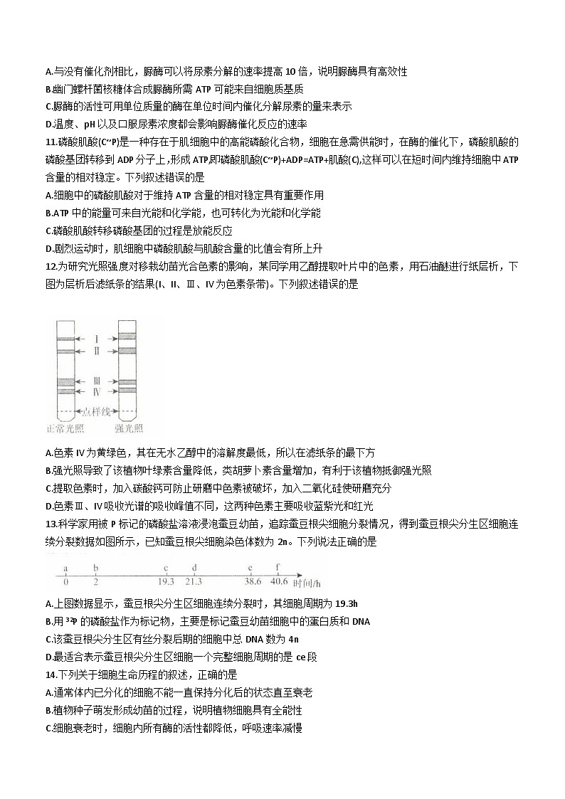 辽宁省名校联盟2023-2024学年高一下学期3月联合考试生物试卷（Word版附解析）第3页