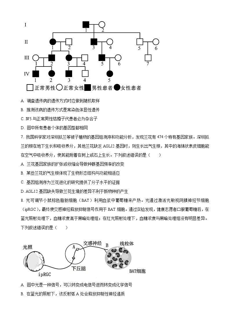 江西省南昌市2024届高三下学期第一次模拟测试生物试卷（Word版附解析）03