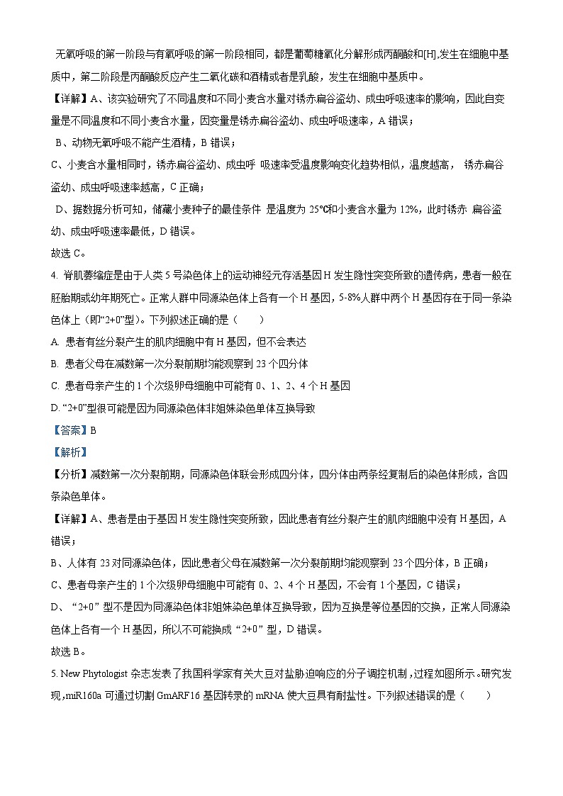 江西省南昌市2024届高三下学期第一次模拟测试生物试卷（Word版附解析）03