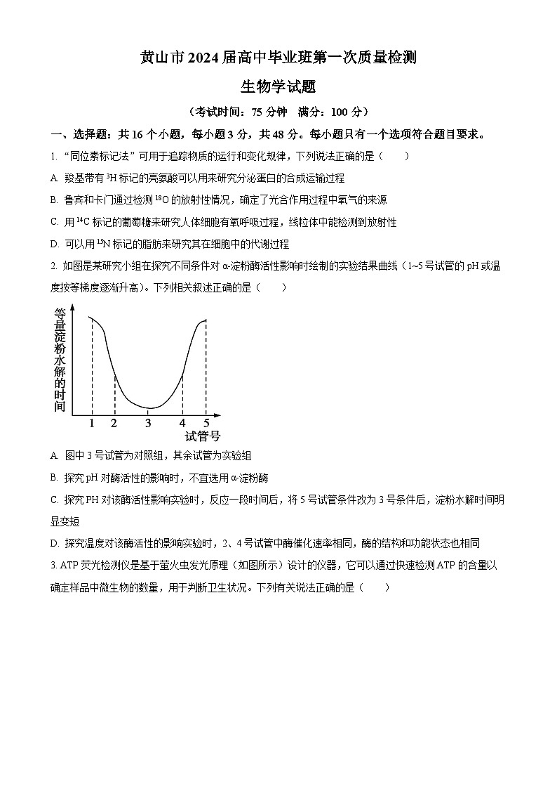 安徽省黄山市2024届高三下学期第一次质量检测（一模）生物试卷（Word版附解析）01