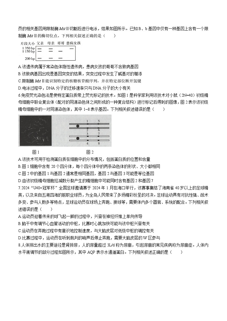 海南省部分学校2023-2024学年高三下学期高考全真模拟卷（六）生物试卷（Word版附解析）第2页