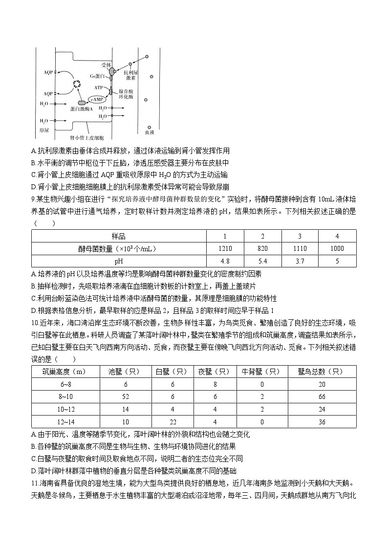 海南省部分学校2023-2024学年高三下学期高考全真模拟卷（六）生物试卷（Word版附解析）第3页