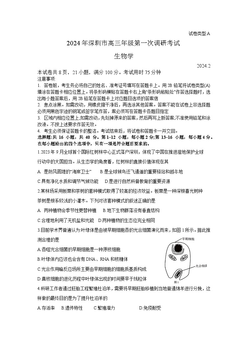 2024 年深圳市高三年级第一次调研考试生物试题（文字版）+参考答案01