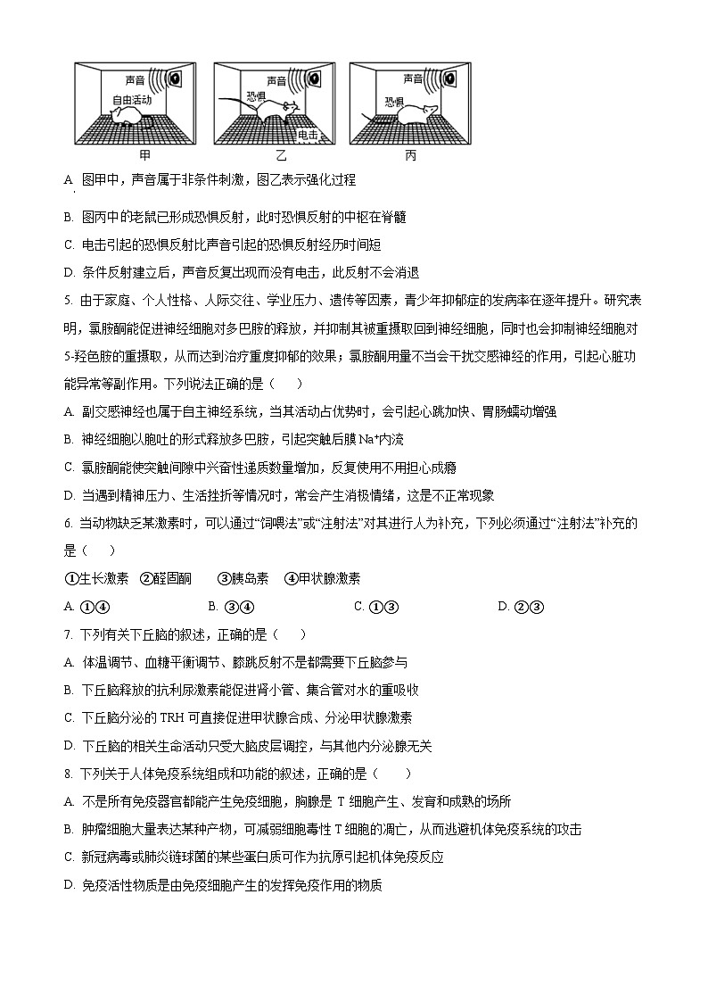 江西省宜春市丰城市九中2023-2024学年高二上学期期末生物试题（原卷版+解析版）02