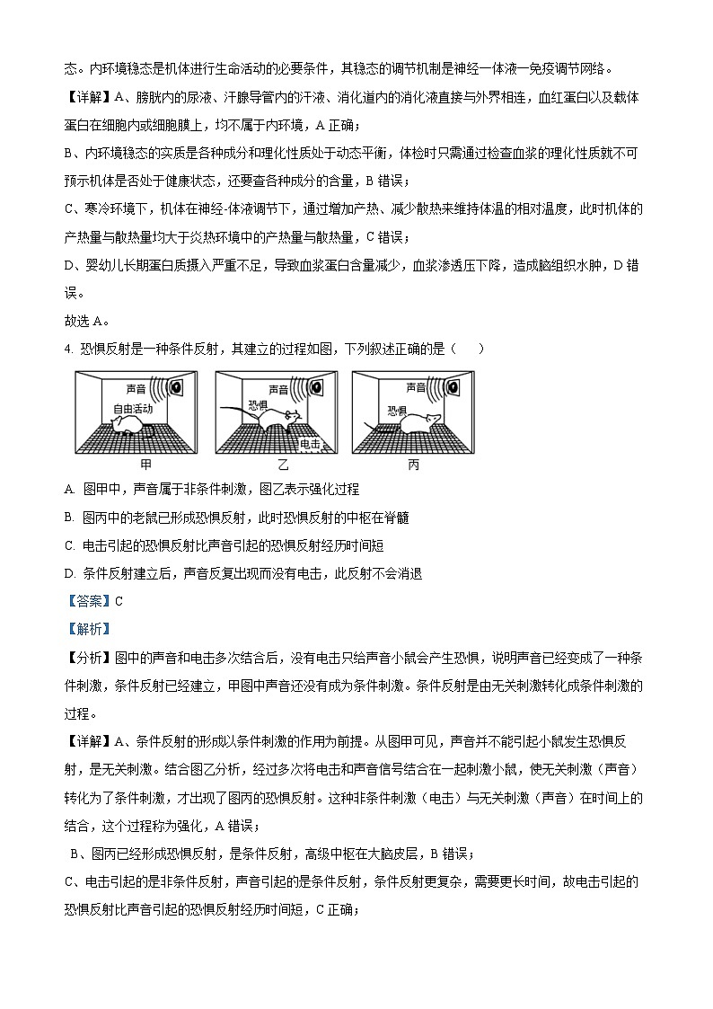 江西省宜春市丰城市九中2023-2024学年高二上学期期末生物试题（原卷版+解析版）03
