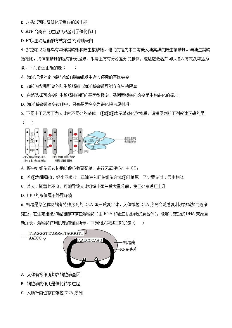 江西省宜春市丰城市九中2023-2024学年高三上学期期末生物试题（原卷版+解析版）02