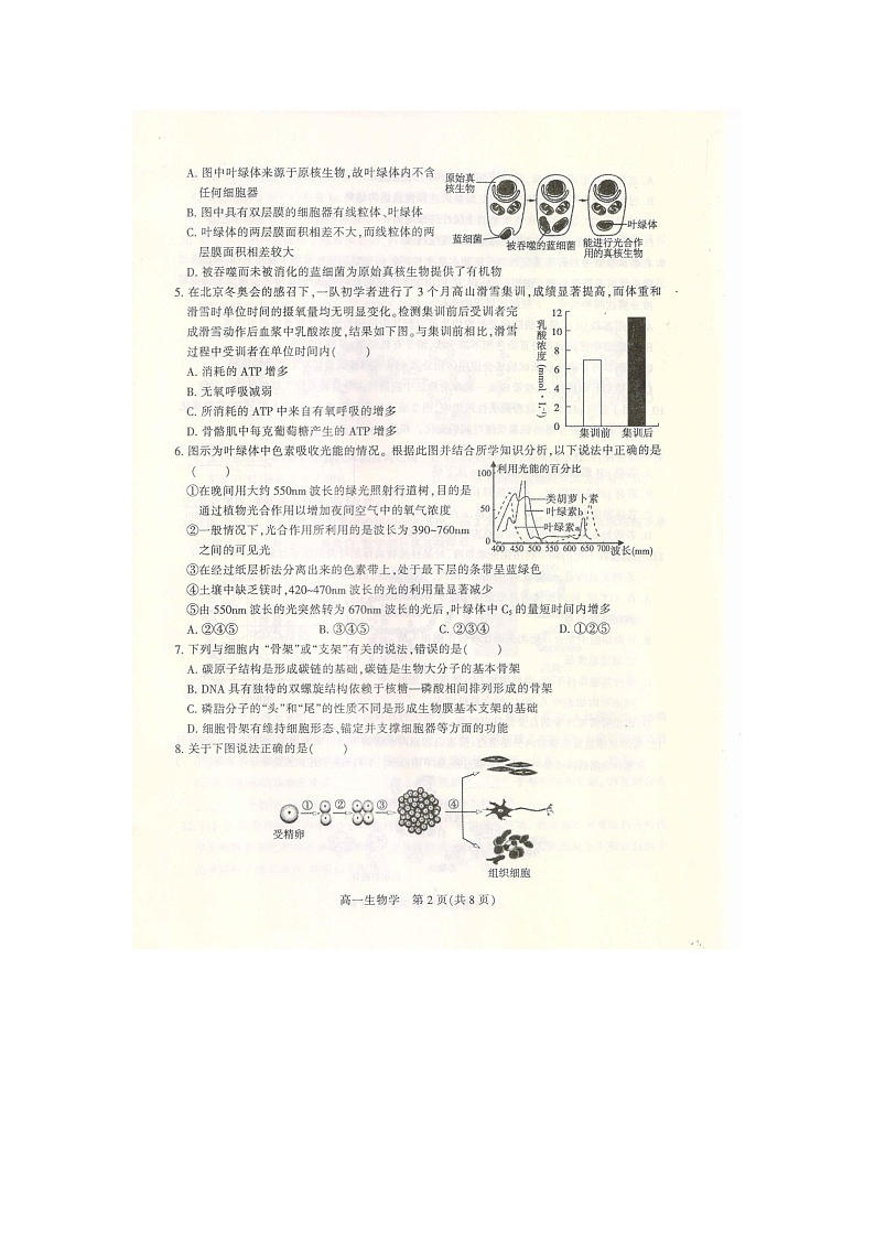 河南省漯河市2023-2024学年高二上学期期末质量检测生物试题第2页