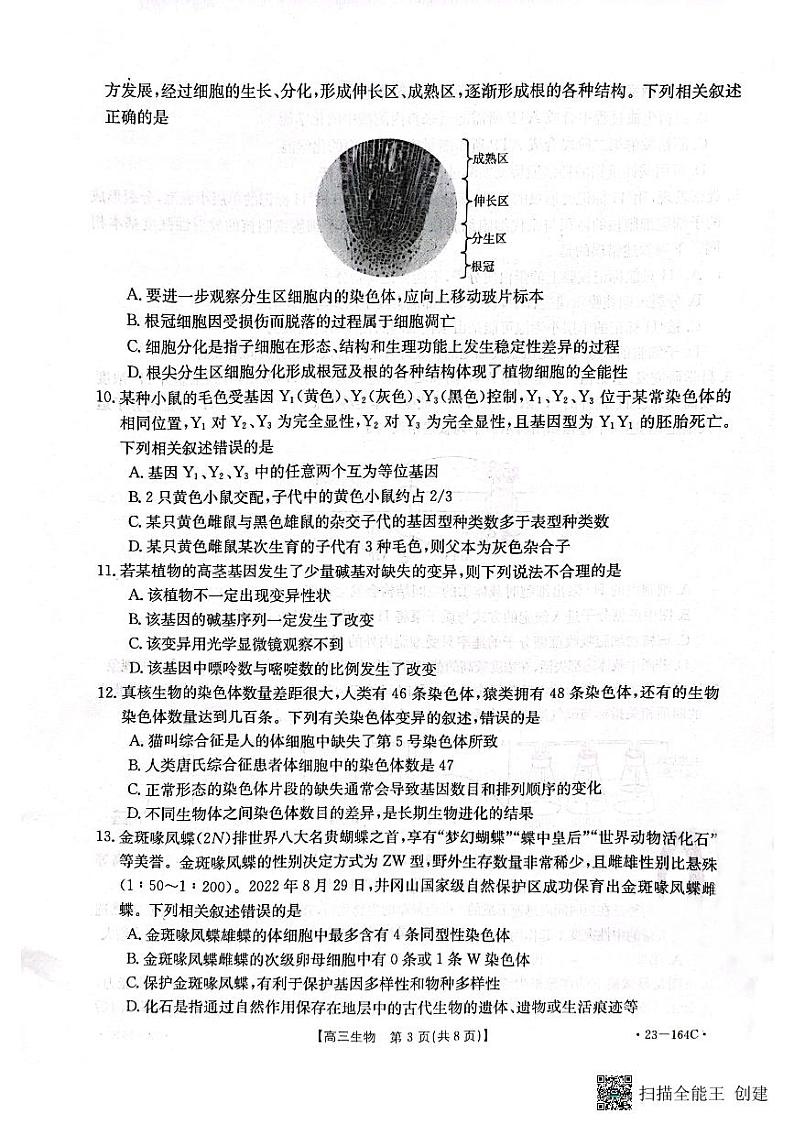 2023届辽宁金太阳164C高三上学期模拟生物试题及答案03