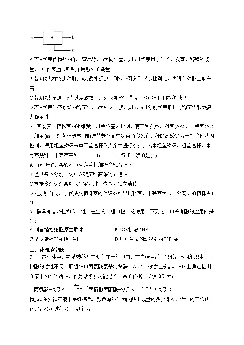 长春市第二实验中学2023届高三上学期期末考试生物试卷(含答案)第2页