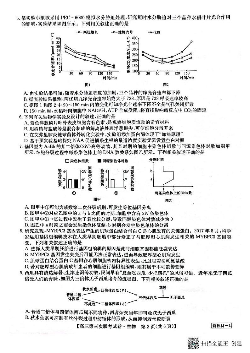 生物第2页