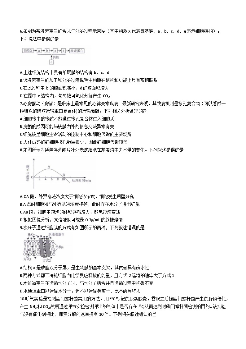 2024辽宁省名校联盟高一下学期3月联合考试生物含解析02