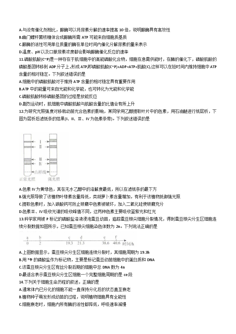 2024辽宁省名校联盟高一下学期3月联合考试生物含解析03