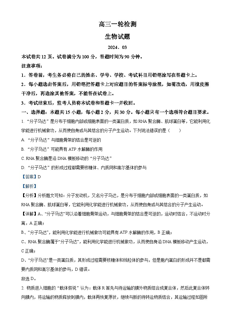 2024届山东省泰安市高三下学期一模生物试题01
