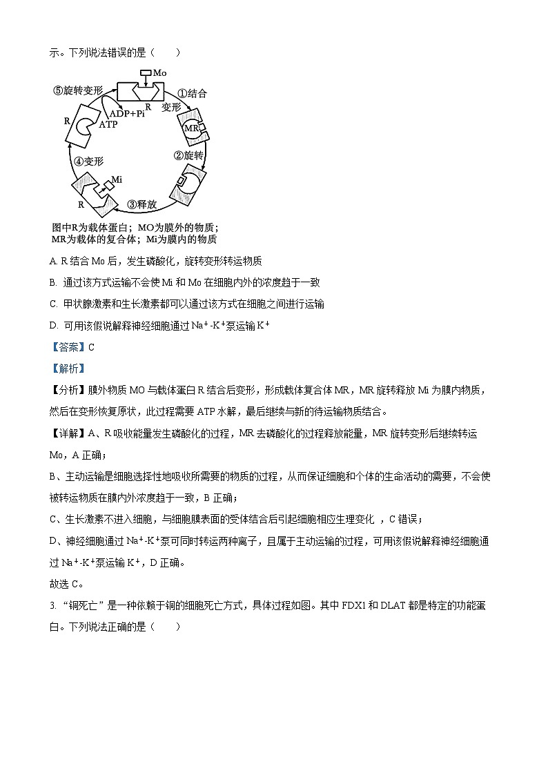 2024届山东省泰安市高三下学期一模生物试题02