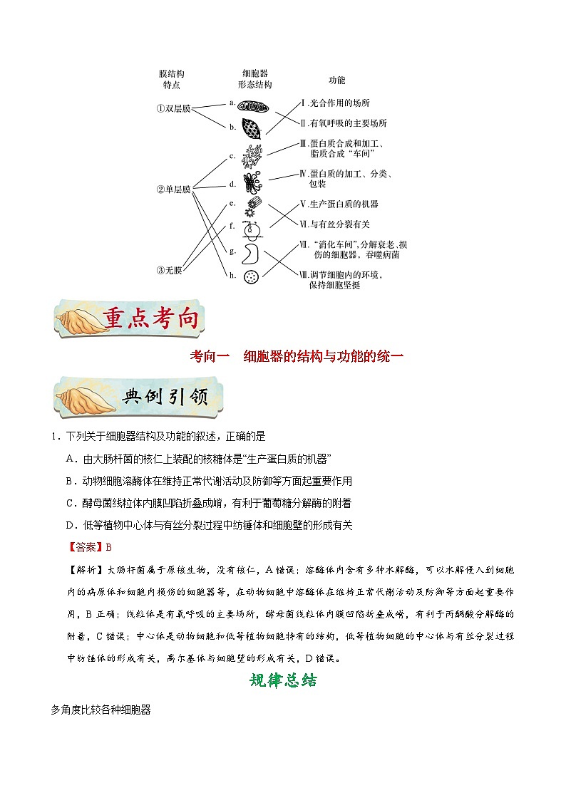 最新高考生物考点一遍过讲义 考点10 细胞器的结构和功能02
