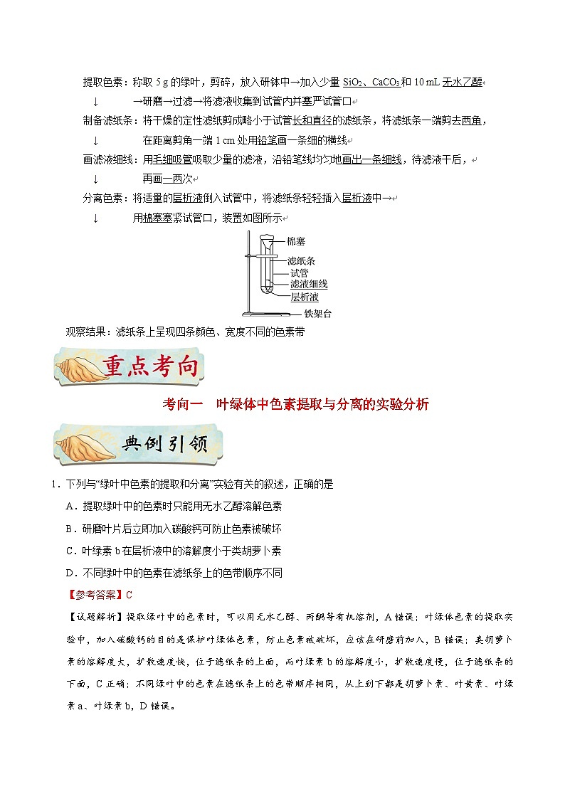 最新高考生物考点一遍过讲义 考点18 绿叶中色素的提取和分离第2页