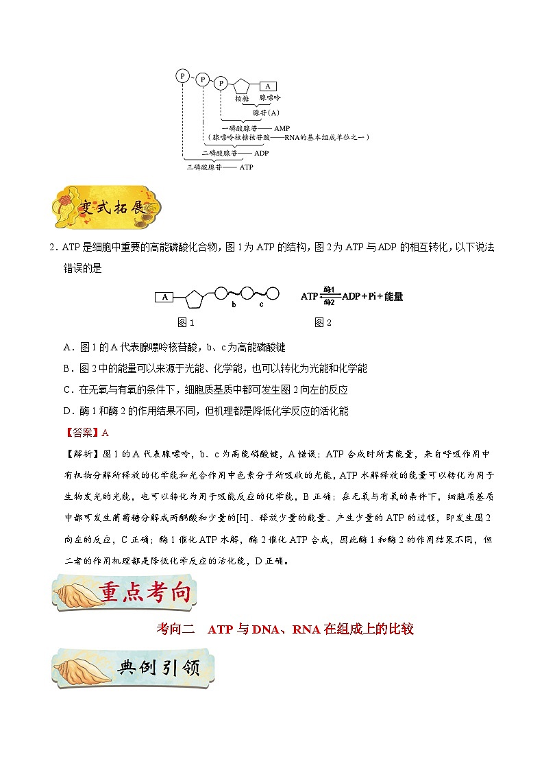最新高考生物考点一遍过讲义 考点16 ATP03