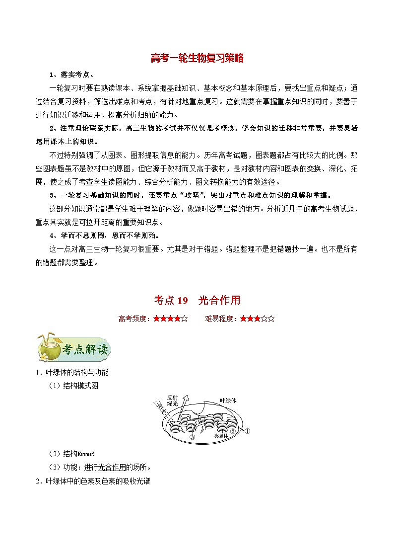 最新高考生物考点一遍过讲义 考点19 光合作用第1页