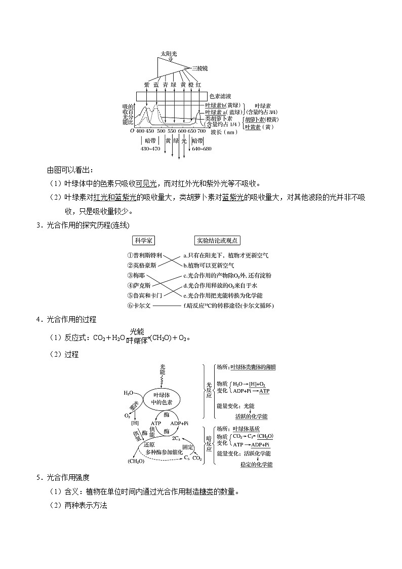 最新高考生物考点一遍过讲义 考点19 光合作用第2页