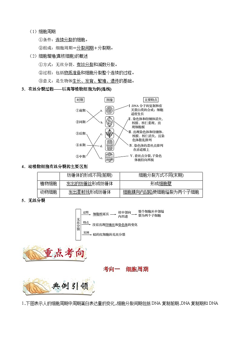 最新高考生物考点一遍过讲义 考点21 细胞的增殖02